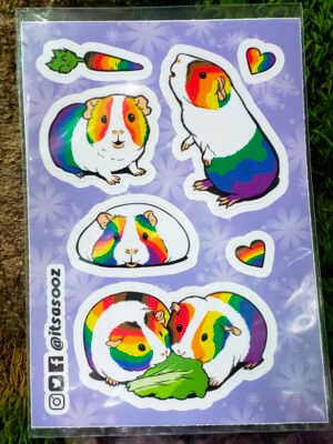 Image of rainbow Pride Piggies