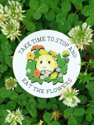 Image of Take Time to Stop and Eat the Flowers sticker