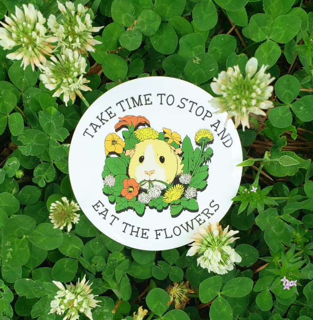 Image of Take Time to Stop and Eat the Flowers sticker